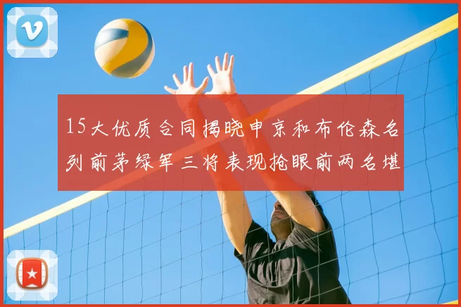 15大优质合同揭晓申京和布伦森名列前茅绿军三将表现抢眼前两名堪称传奇