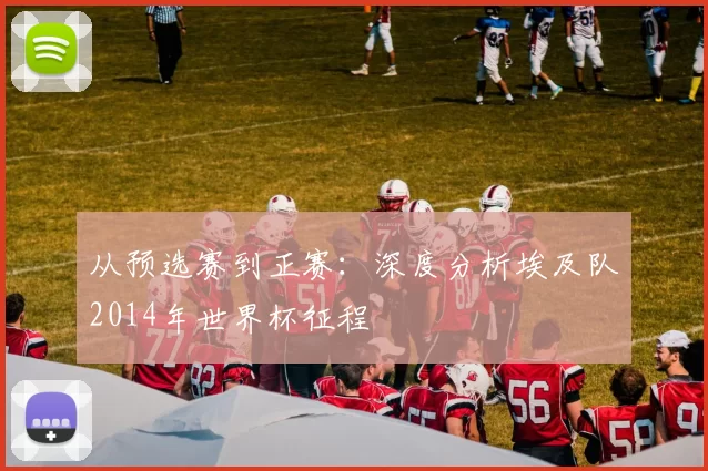 从预选赛到正赛：深度分析埃及队2014年世界杯征程