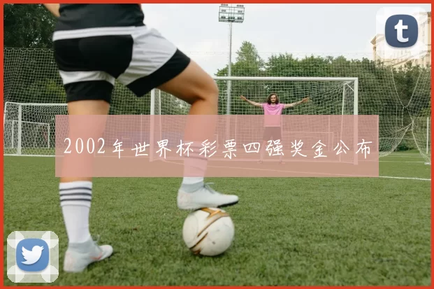 2002年世界杯彩票四强奖金公布