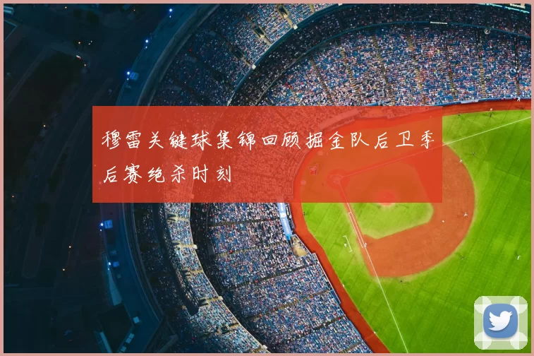 穆雷关键球集锦回顾掘金队后卫季后赛绝杀时刻