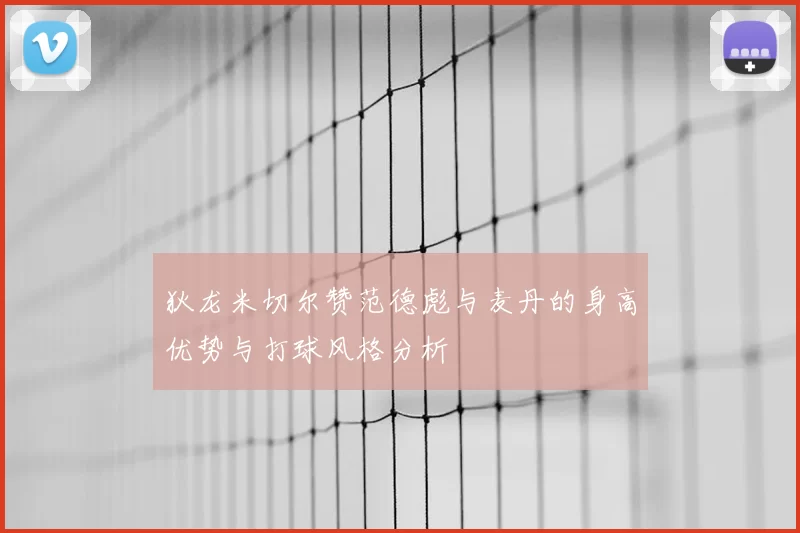 狄龙米切尔赞范德彪与麦丹的身高优势与打球风格分析