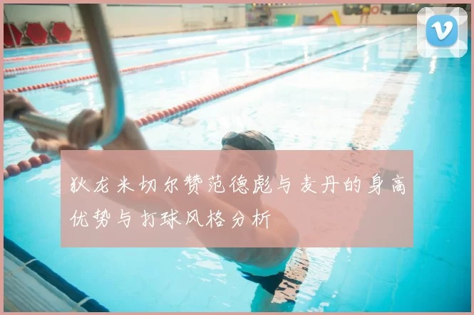 狄龙米切尔赞范德彪与麦丹的身高优势与打球风格分析
