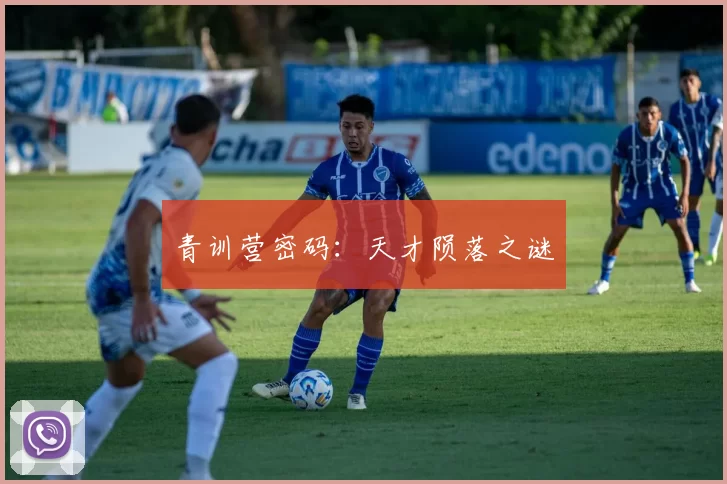 青训营密码：天才陨落之谜