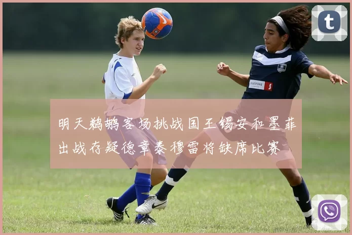 明天鹈鹕客场挑战国王锡安和墨菲出战存疑德章泰穆雷将缺席比赛