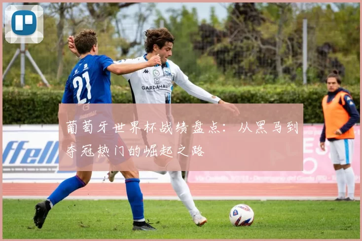 葡萄牙世界杯战绩盘点:从黑马到夺冠热门的崛起之路