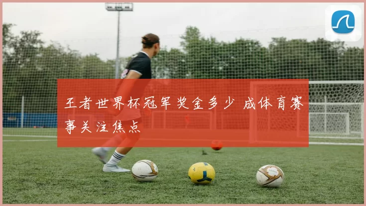王者世界杯冠军奖金多少 成体育赛事关注焦点