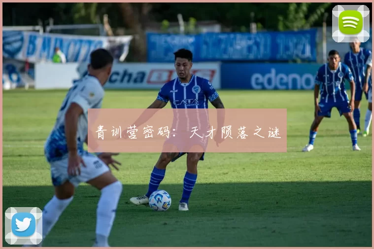 青训营密码：天才陨落之谜